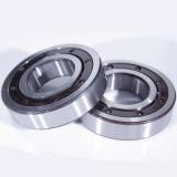 FAG Ceramic Coating NJ316-E-M1-F1-J20B-C4 Insocoat Hybrid Bearings